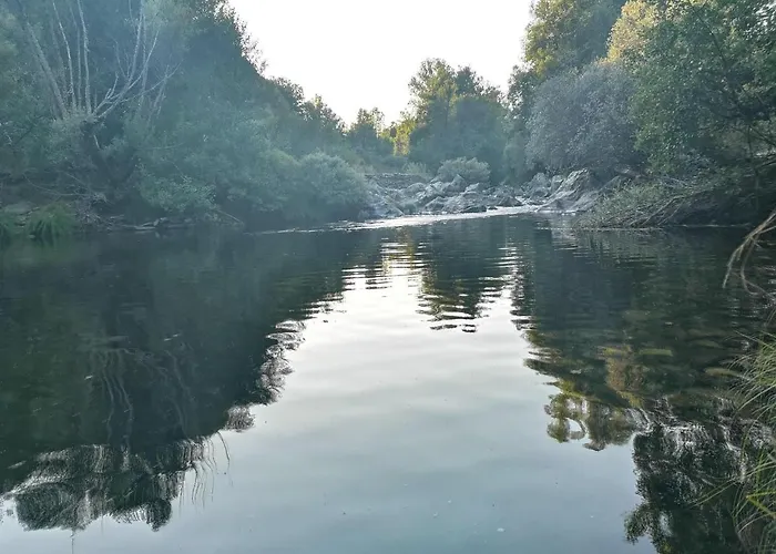 木屋 La Nueva Escuela *