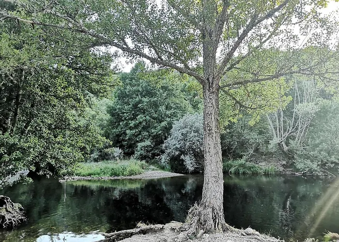 La Nueva Escuela * La Omañuela