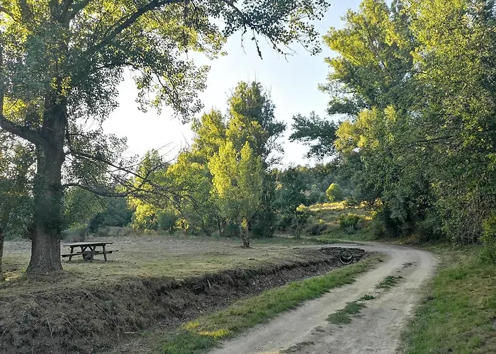 La Nueva Escuela 木屋