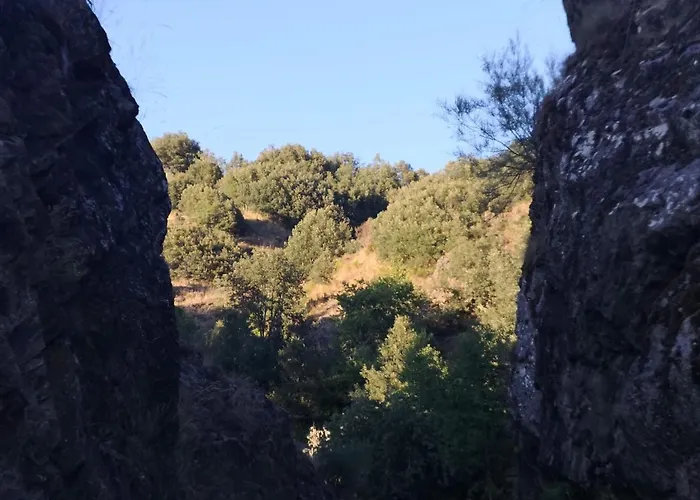 La Nueva Escuela 木屋