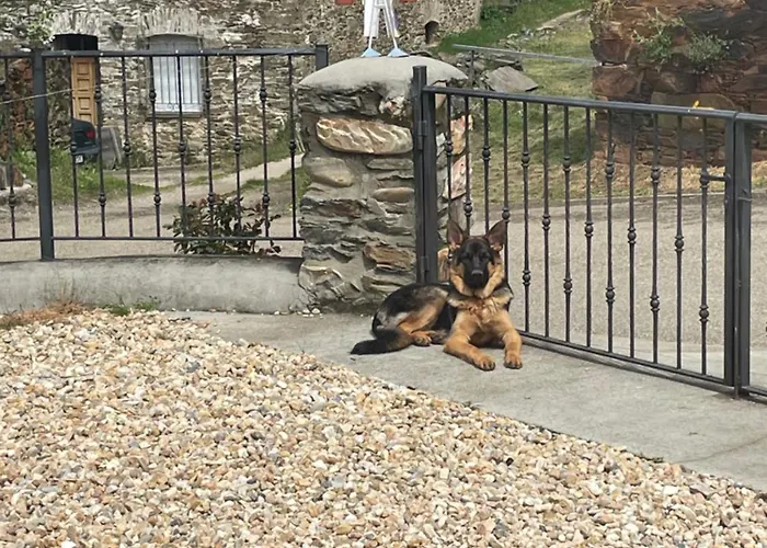 La Nueva Escuela * La Omañuela